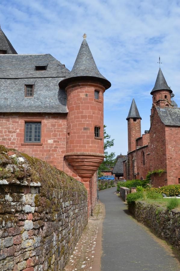Chateau De Vassinhac Chambres D'Hotes Collonges La Rouge Zewnętrze zdjęcie