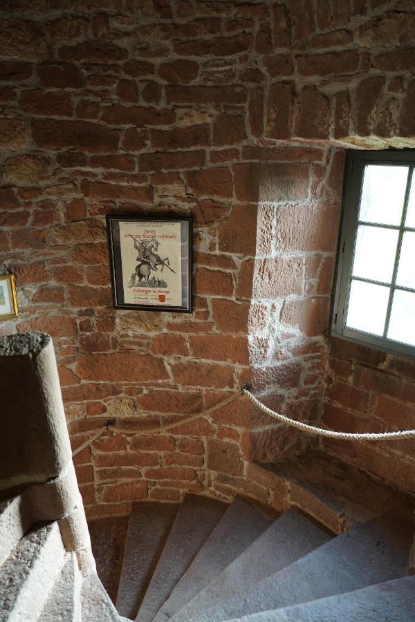 Chateau De Vassinhac Chambres D'Hotes Collonges La Rouge Zewnętrze zdjęcie