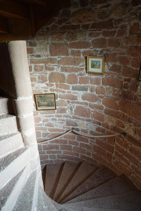 Chateau De Vassinhac Chambres D'Hotes Collonges La Rouge Zewnętrze zdjęcie