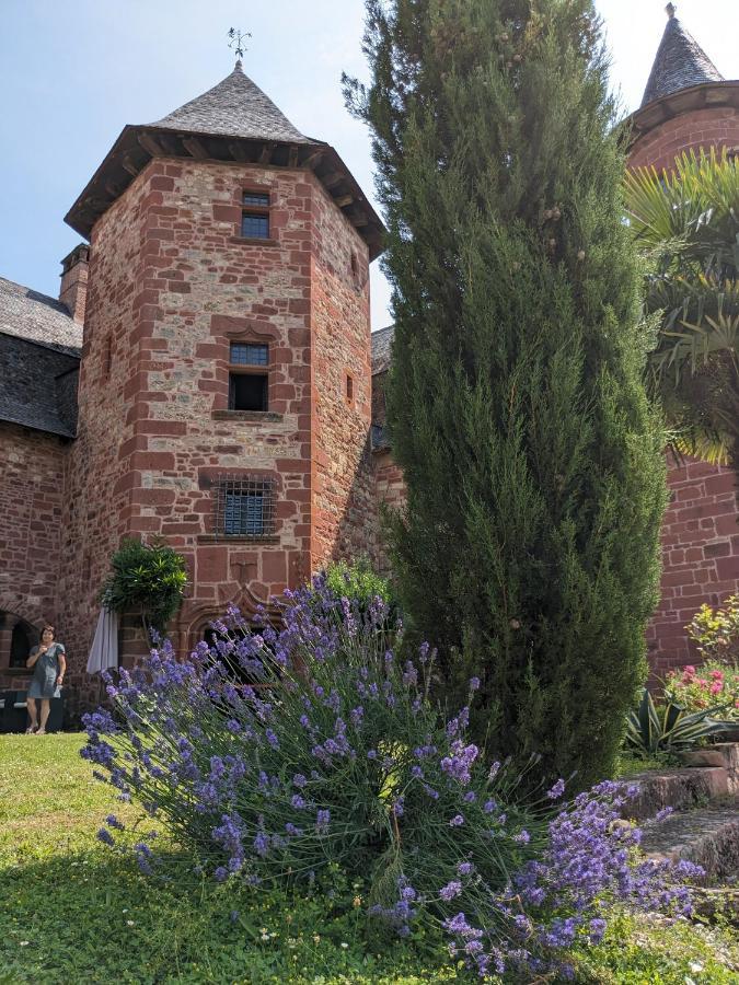 Chateau De Vassinhac Chambres D'Hotes Collonges La Rouge Zewnętrze zdjęcie